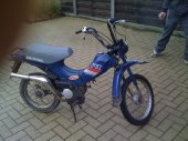 1981 Honda PX50 photo